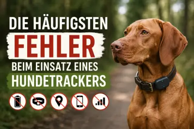 Die häufigsten Fehler beim Einsatz eines Hundetrackers